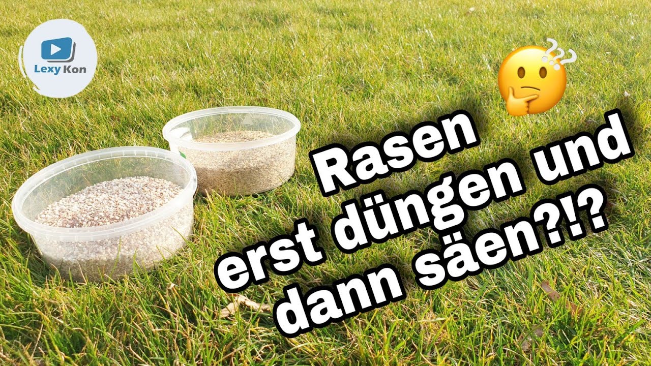 Rasen erst düngen oder erst säen?!? SO WIRD'S GEMACHT [2021] YouTube