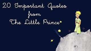 20 Important Quotes from The Little Prince