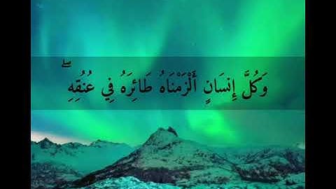 قرآن كريم بصوت محمد اللحيدان||حالات واتس اب ||Quran status ❣