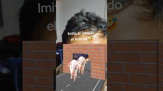 IMITANDO SONIDOS DE ANIMALES #humor #comedia #shorts #shortsfeed #shortsviral