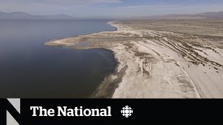 How EV demand could revive California’s Salton Sea wasteland