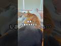 しあわせの重み #俺の朝 #猫布団 #にこねこ