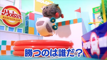 TVアニメ「PUI PUI モルカー」第5話　プイプイレーシング　予告