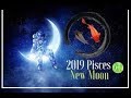 Mercury Retrograde, New Moon in Pisces March 3rd-9th 2019| Gemini Brown