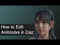 Daz3D how to edit aniBlock