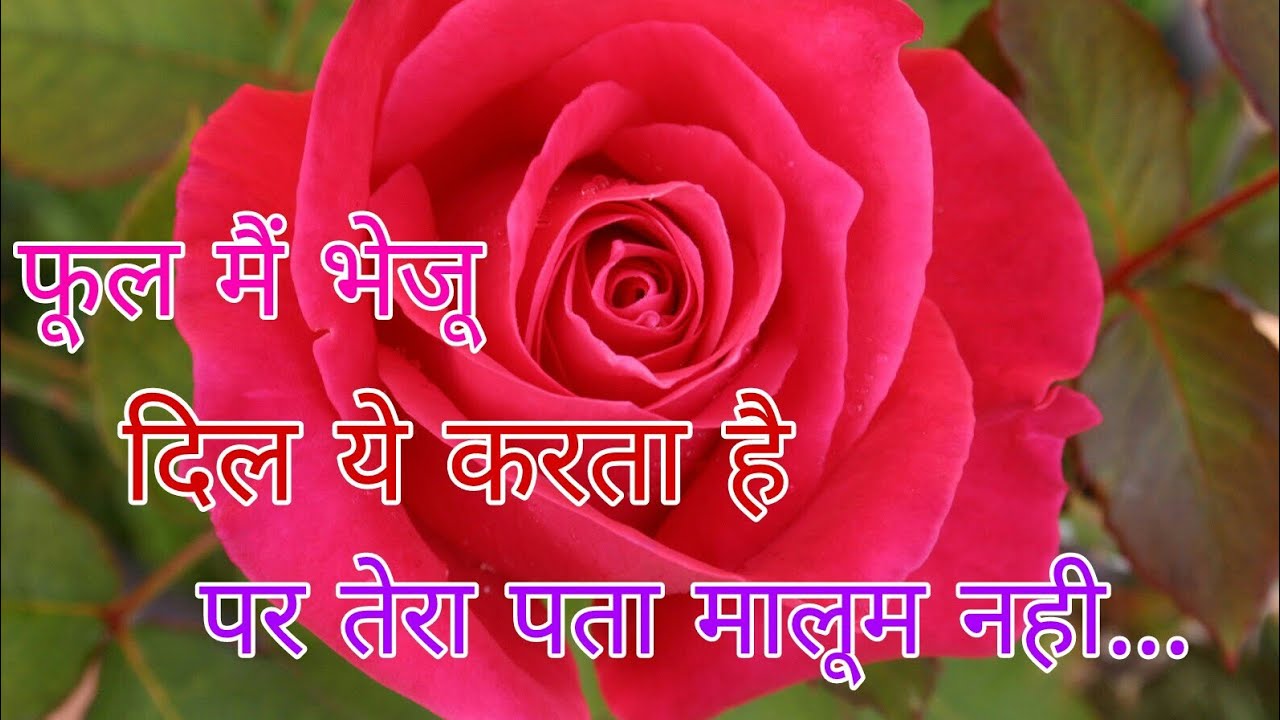 phool main bheju