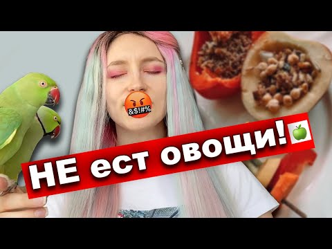 Video: Musím Si Před Jídlem Umýt Ořechy A Sušené Ovoce