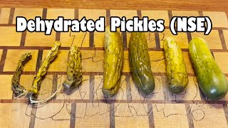 Dehydrated Pickles (NSE)