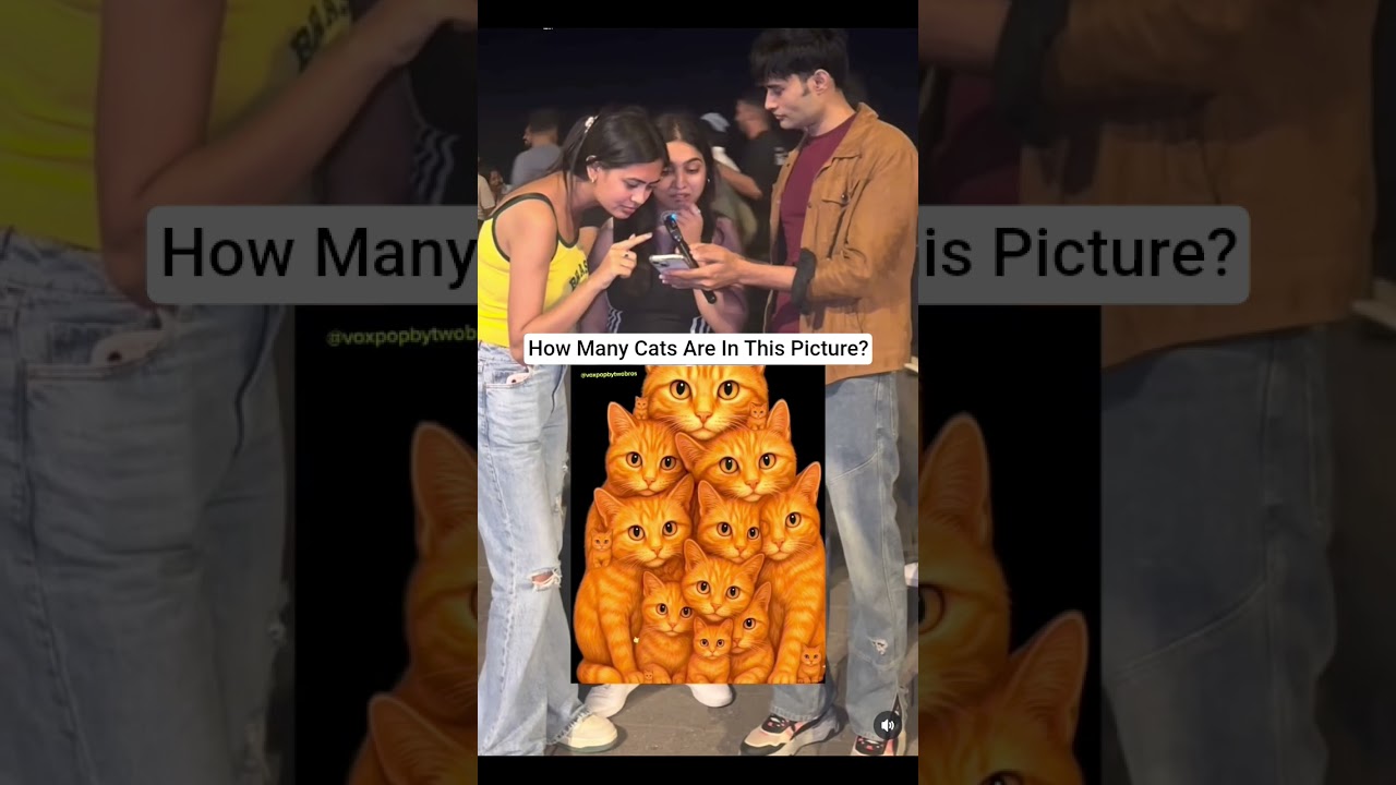⁣How Many Cats Are In this Picture? #youtubeshorts #funny  #coolvideo #youtubecreator