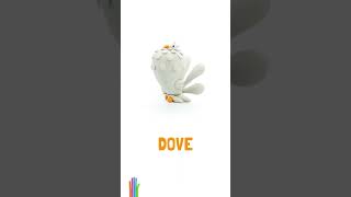 Doves have had a lot of jobs - delivering letters, assisting magicians, and now, entertaining you!