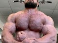 Huge and thick pecs pumping up