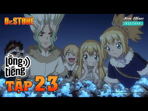 Dr. Stone