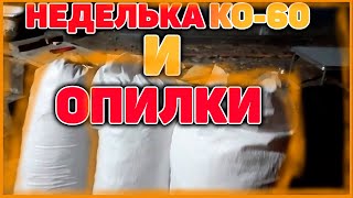 Топление опилками с котлом неделька КО-60