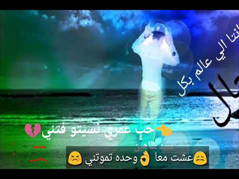 سيد شاهين