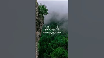 تلاوة خاشعة ومؤثرة القارئ رعد الكردي (مَا أَصَابَ مِن مُّصِيبَةٍ إِلَّا بِإِذْنِ اللَّهِ ۗ وَمَن
