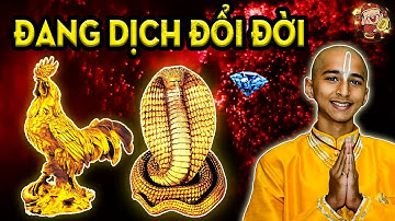 Thần Đồng Tiên Tri Ấn Độ Gọi Tên, 2 Con Giáp Càng Dịch Càng Giàu, Đang Khổ Bỗng Giàu Nứt Đố Đổ Vách