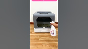 ASFA Pet Care - giải pháp khử mùi, diệt khuẩn bảo vệ sức khỏe cho thú nuôi chó, mèo