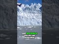 Antarctica: Global Warming's Devastating Impact Revealed #shorts