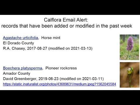 Creating a Calflora Email Alert