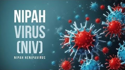 "Nipah Virus Guide: Symptoms, Spread & Protection Measures"