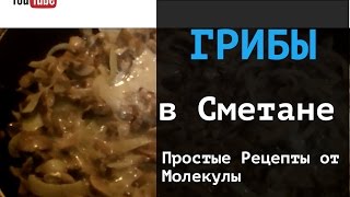 Грибы шампиньоны в сметане на сковороде Грибы шампиньоны в сметане на сковороде