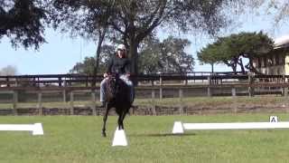 Bitless & Bareback Dressage schooling, Part V