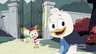 Disney Summer Of Service 2017