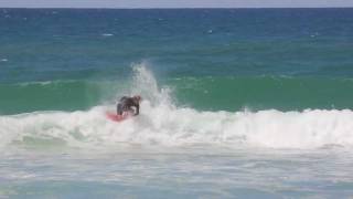 Mini DK profile - Shane Griffiths