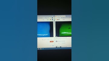 Zoopals in Weird Code in G-Major 20