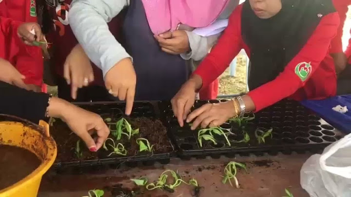 Lembaga Penelitian dan Pengkajian Pertanian