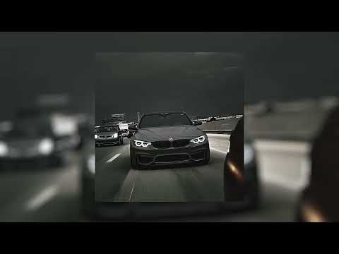     اغنيه يبحس عنها جميع حماس روعا دمار  