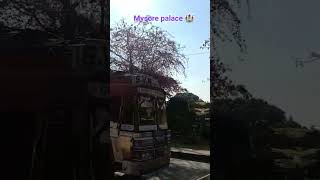 trending songs #Mysore city #shorts vedios