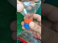 Clever tricks using simple household items #diy #simple