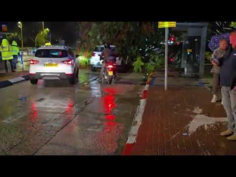 עץ נפל על רכב בחולון