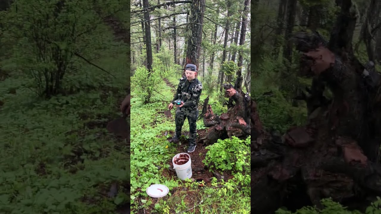 #pnw #hunting #dudewipes #bear