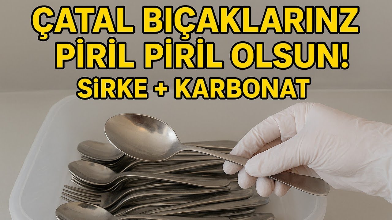 Çatal Bıçak ve Kaşık Temizliği | Sirke + Karbonat ile İlk Günkü Parlaklık ✨