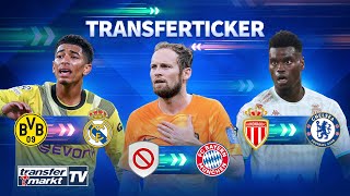Real zuversichtlich bei Bellingham / Blind zu Bayern / Chelsea holt Badiashile | TRANSFERMARKT