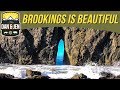 A DAN &amp; JEN QUICKIE😍Harris Beach State Park in Brookings, Oregon