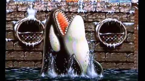 (PART 1) - VG Collection 2012: GameCube/Wii