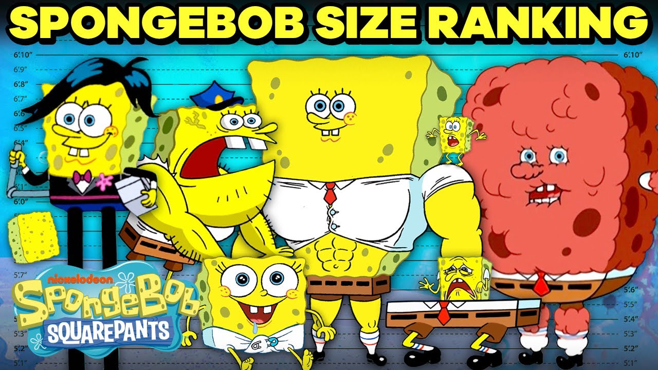 SpongeBob Ranking By Size!  | SpongeBob - YouTube