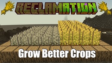How to Agricraft - Get Perfect Crops | Reclamation Ep 2.5