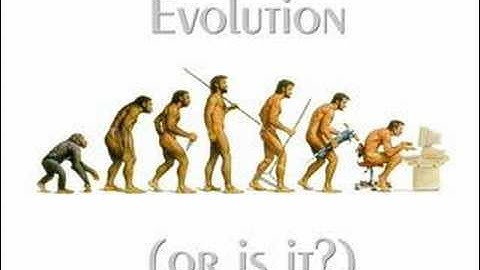 An Argument for Theism from Evolution