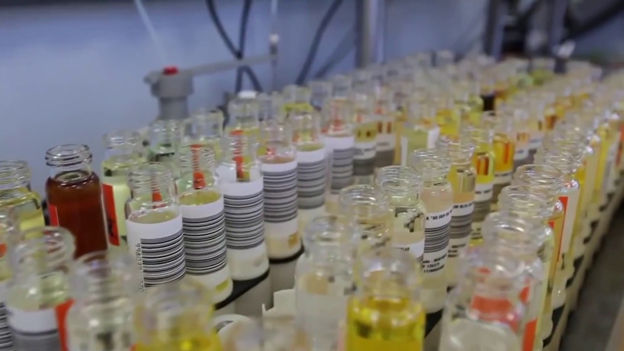 Film Grasse ExpertiseTM