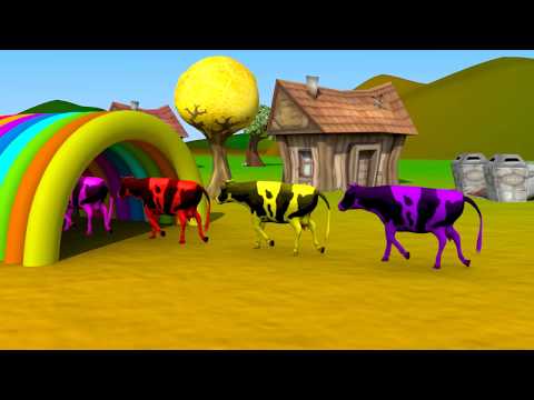 Farm Animals and Their Young are Transformed Into Wild Animals | Bimbaboo