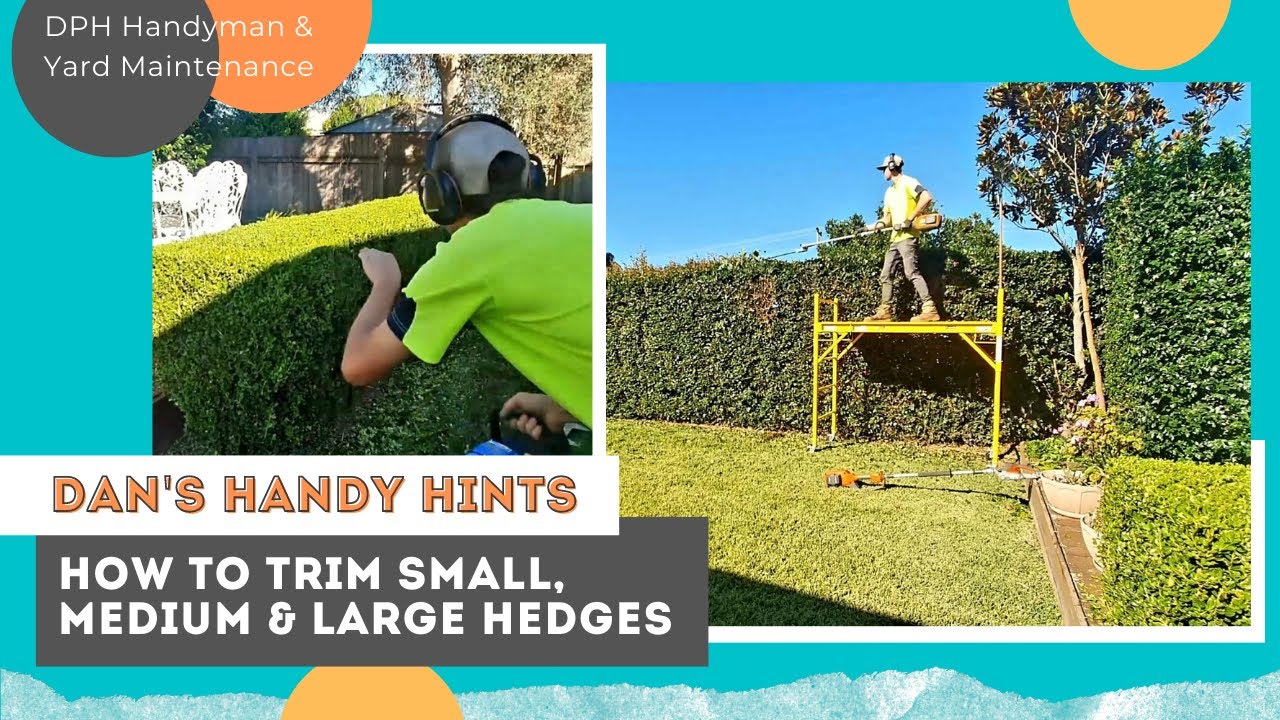 HOW TO // TRIM SMALL, MEDIUM AND LARGE HEDGES :) EPISODE 35....ALREADY ...