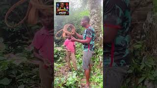 Story of Ubong The 13years old boy that use to clam Palm trees just to feed himself and siblings,mom