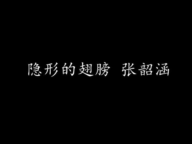 隐形的翅膀 张韶涵 (歌词版) class=