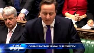 Cameron faces grilling on EU referendum