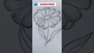 How to draw Aster flower/easy flowers drawing#art #drawing #new #viral #flowers #shorts