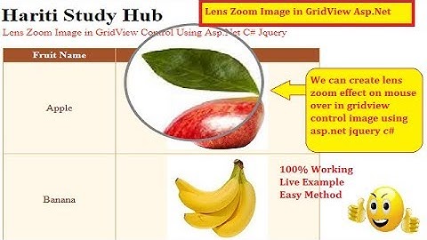 Lens Image Zoom effect on Mouse Over in Grid View Control Using Asp.Net C# Jquery | Hindi